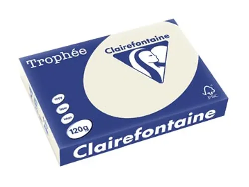 Trophée Pastel gekleurd papier A4 120 gram 250vel Parelgrijs