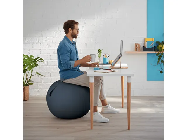 Leitz Ergo Cosy Actieve Zitbal Fluweel Grijs