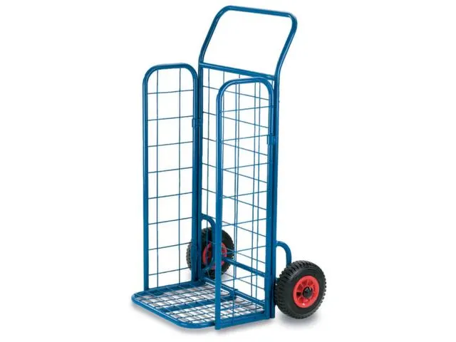 Draadgaas Steekwagen Draagvermogen 150kg 450x340mm Luchtbanden