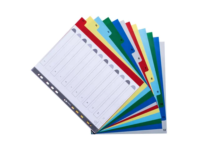 Tabbladen Polypropyleen A4+ 0.12mm 1-12 Bedrukte Tabs 12-Delig