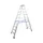 Verrijdbare Boktrap Aluminium L 2 54M 2X10Treden
