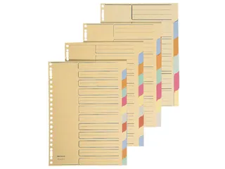 Tabbladen Esselte Premium A4 12-delig karton 23-rings assorti - 2