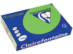 Trophée Intens gekleurd papier A4 160 gram 250vel Grasgroen