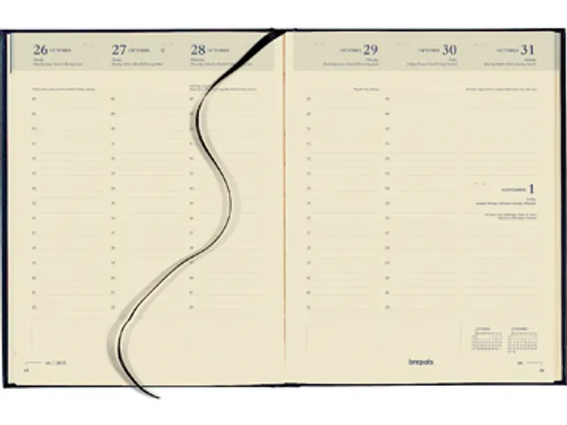 Timing Lima geassorteerde kleuren 2026