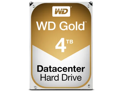 Western Digital Gold interne harde schijf 4TB