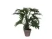 Kunstplant Mica Philodendron selloum groen in pot 50x60cm