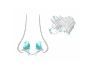 Nosa plugs anti-geur neusdopjes menthol 100 Stuks - 4