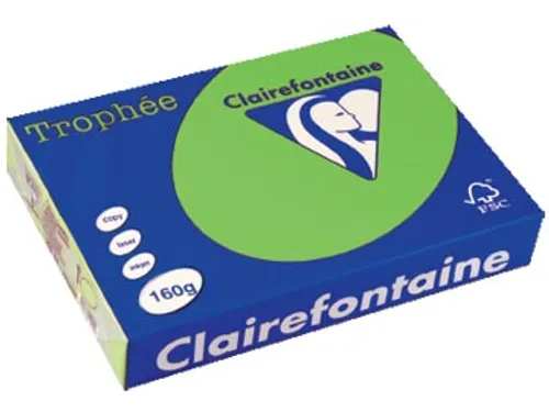 Trophée Intens gekleurd papier A4 160 gram 250vel Grasgroen