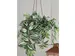 Kunstplant Mica Tradescantia hangend groen 45x25cm