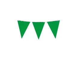 Party Flag PE Green