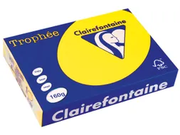 Trophée Intens Gekleurd Papier A4 160 gram 250vel Zonnegeel
