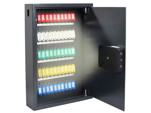 Sleutelkast Pavo High Security SMART 50 haken
