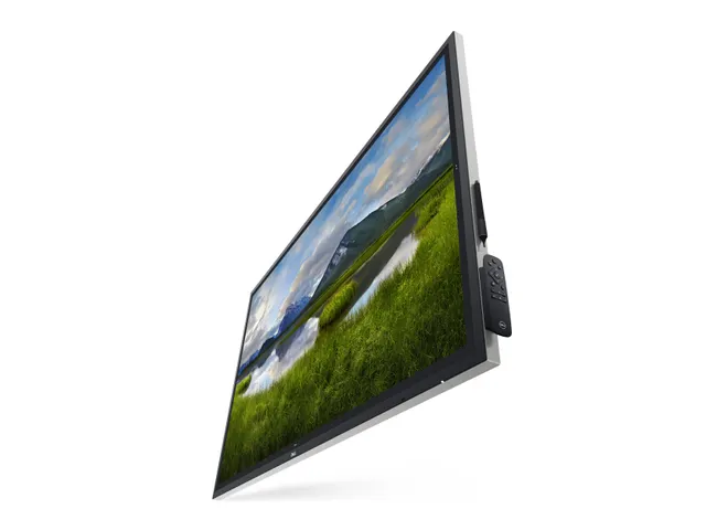 64.53 inch 4K UHD 3840 x 2160, IPS, 16:9, 350 cd/m² 1.07 Billon, 9 ms