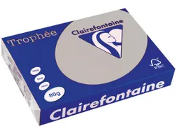 Trophée Pastel gekleurd papier A4 80 gram 500vel Lichtgrijs