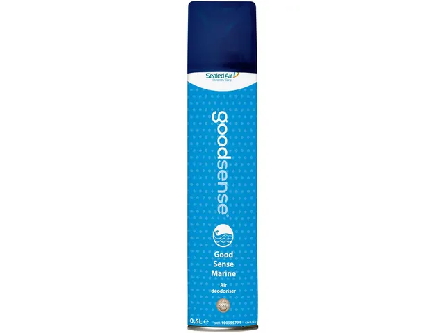 Désodorisant Aérosol Good Sense 500ml