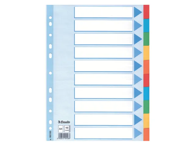 Tabbladen Esselte A4 11-gaats Karton 10-delig Assorti