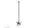 Neomounts NS-EP100BLACK Extension pour support plafond écran h107.5 c