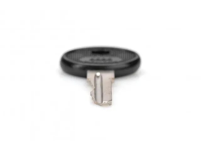 Sleutel voor WM SOHO PRO DN-DVR-1 2 stuks type 4444