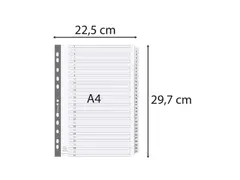 Tabbladen karton 160g A4 1-31 wit