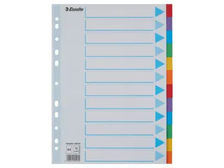 Tabbladen Esselte A4 11-Gaats Karton 12-Delig Assorti - 2
