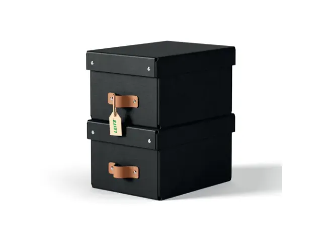 Leitz Puro Opbergdoos met deksel klein 7L set van 2 zwart