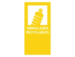 Magneetsticker Emballages/Recyclables