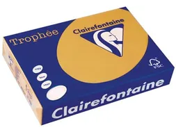 Trophée Pastel gekleurd papier A4 160 gram 250 vel mokkabruin