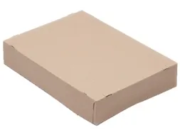 Paraatdoos CleverPack A4 305x218x55mm voor 500vel bruin 10st
