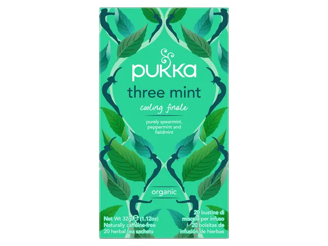 Thee Pukka mint 20 zakjes