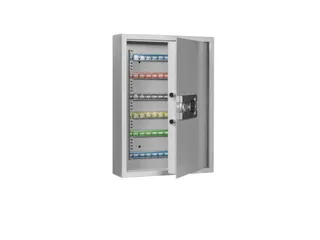sleutelkast,120haak,HxBxD 630x460x130mm,romp RAL7035,front RAL7035 - 2