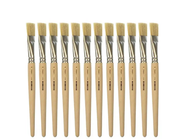 Lyonse penseel Kangaro #20 kort ongelakt hout doos a 12 stuks