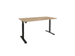 Elektrisch Verstelbaar Bureau 2 Motoren 160x80cm Frame Zwart Honey