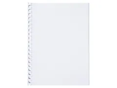 Bindrug GBC 19mm 21-rings A4 wit 100stuks