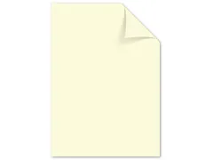 papier Kangaro A4 160 gram pak a 50 vel beige
