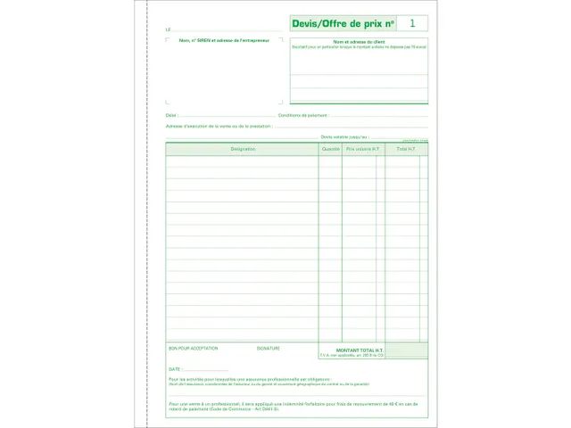 Manifold Devis Micro-entrepreneur 29,7x21cm 50 feuillets dupli autocop
