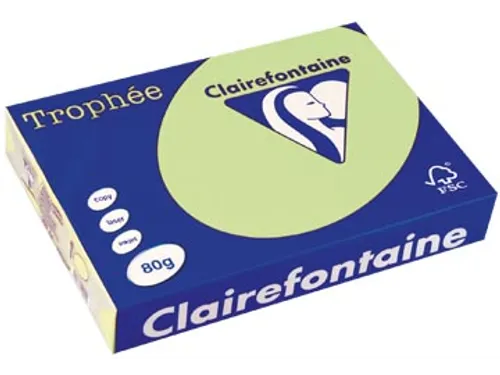 Trophée Pastel gekleurd papier A4 80 gram 500vel Groen