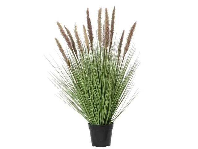 Kunstgras Everlands met pluimen 80cm bruin in pot