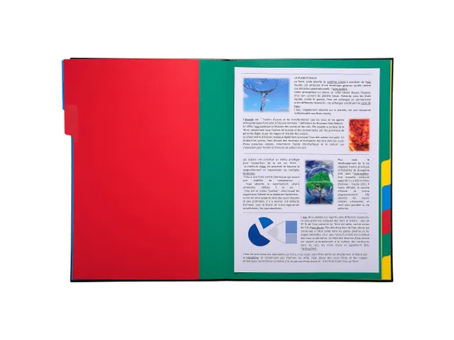 Sorteermap Ordonator Harmonika 9 vak ass