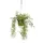 Kunstplant Mica Rhipsalis hangend in pot groen 40x20cm