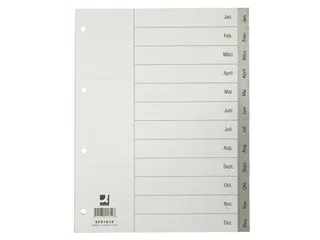Tabbladen Jan-Dec Met Indexblad A4 Grijs - 1