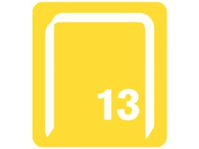 Nietjes 13/8 gegalvaniseerd 2.500 nietjes