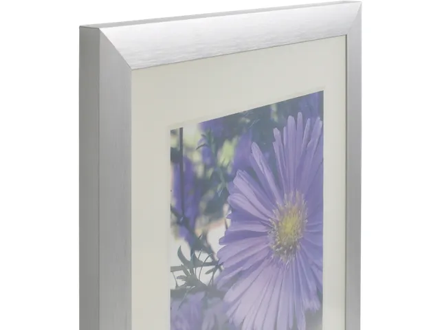 Fotolijst Aluminium Breed -plexiglas 21x29.7Cm