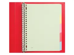 Tabbladen Budget A4 23-gaats 5-delig assorti karton