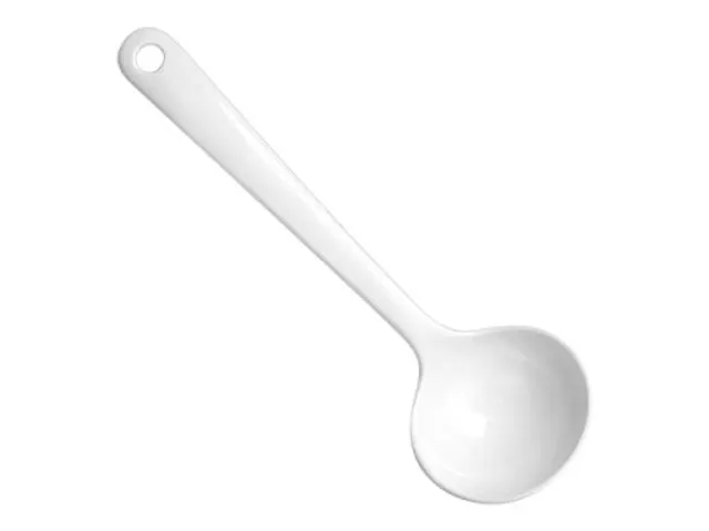 Waca Soep- of Sauslepel 255mm 0152 wit