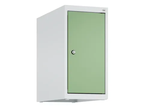 opzetkast,v. locker,1vak.,vak B 250mm,HxBxD 500x250x500mm,vleugeldeur