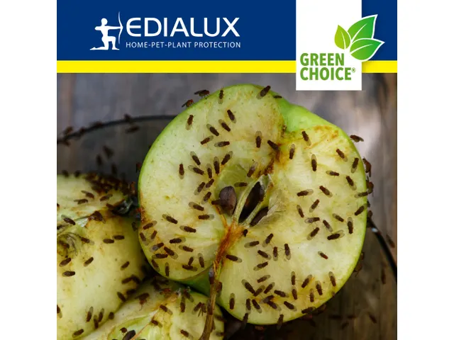 Green Choice - Fruitvliegenval, 2x15ml