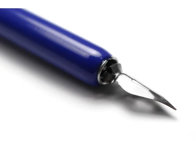 Kroontjespen Houder Met Kroontjes