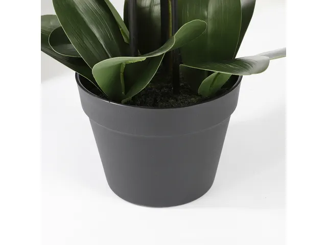 Kunstplant Mica Phalaenopsis orchidee wit in plastic pot 79x51cm