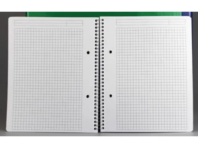 Gallery Spiraalschrift Traditional A4 Geruit 5mm PP