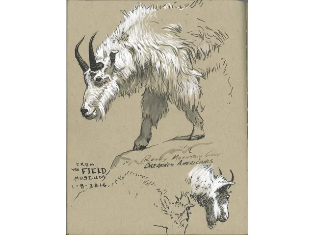 Tekenstift Faber-Castell Pitt Artist Pen 1,5 101 wit